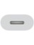 Type-C To Lightning Şarj Çevirici iPhone ile Uyumlu USB C Adaptör (Kulaklık Uyumlu ve Görüşme Destekli) - (816) 2