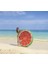 Karpuz Ada 148 cm Bermuda - 37346 2