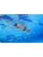 Tracks Junior Mirror Goggles Çocuk Yüzücü Gözlüğü 5