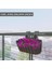 Akasya Çift Askılı Saksı, 30 cm Sarı Çit Balkon Saksı 4