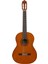 C40 Klasik Gitar 1