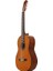 C40 Klasik Gitar 2