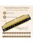 Diatonik Blues Mızıka, C Blues Harp Mızıka, 10 Delikli, Koruyucu Kılıflı, Standart Mızıka, Yetişkinler, Profesyoneller, Yeni Başlayanlar ve Öğrenciler Için Hediye (Altın) 3