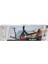Evo Scooter 2tkr Flexi MAX100KG Kırmızı 3