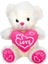 Kalpli Peluş Ayı 30 Cm. 3