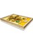 LEGO Art Vincent Van Gogh Ayçiçekleri 31215 3