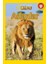 National Geographic Kids - Aslanlar 1