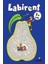 Labirent 5 Yaş 1