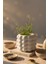 Beton Dekoratif Bohem Orta Boy Saksı – Iskandinav Tasarım 12 x 12 5