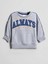 Lcw Kids Ekru Bisiklet Yaka Baskılı Erkek Çocuk Sweatshirt 3