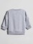 Lcw Kids Ekru Bisiklet Yaka Baskılı Erkek Çocuk Sweatshirt 4