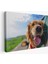 -Premier Kanvas Serileri- Köpek Dekoratif Kanvas Tablo 1130 1
