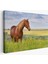 -Premier Kanvas Serileri- At ve Manzaralı Dekoratif Kanvas Tablo 1131 1