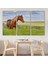 -Premier Kanvas Serileri- At ve Manzaralı Dekoratif Kanvas Tablo 1131 3