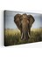-Premier Kanvas Serileri- Fil Dekoratif Kanvas Tablo 1121 1