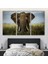 -Premier Kanvas Serileri- Fil Dekoratif Kanvas Tablo 1121 3