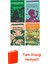 Rudyard Kipling 4 Kitap Seti + Türk Klasiği Hediye 1