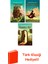 Diana Wynne Jones 3 Kitap Seti + Türk Klasiği Hediye 1