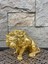 Dekoratif Polyester Kükreyen Aslan Biblo Gold 3