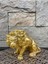 Dekoratif Polyester Kükreyen Aslan Biblo Gold 5