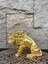 Dekoratif Polyester Kükreyen Aslan Biblo Gold 6