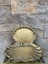 Dekoratif Polyester Ikili Istiridye Tepsi Sunumluk Gold 6