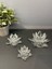 Dekoratif Kristal Cam Üçlü Lotus Mumluk Şeffaf Gümüş 8