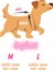 Kedi ve Köpek Için Siyah Cadılar Bayramı Kazağı 8