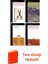 Dag Solstad 4 Kitap Seti + Türk Klasiği Hediye 1