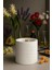 : Honeysuckle : % 100 Soya Beton Mum (Hanımeli, Incir, Gül, Lavanta) 1