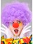 Wizard Mor Renk Kıvırcık Afro Bonus Peruk Takma Saç ve Kırmızı Burun Seti 1
