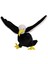 6138 60 cm Kartal 2