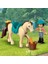 LEGO Friends At ve Midilli Römorku 42634 4