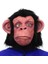 Wizard Siyah Saçlı Kafaya Tam Geçmeli Lateks Şempanze Maskesi - Lateks Maymun Orangutan Goril Maske Et Maske 1