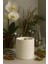 : Black Orchid : Dekoratif % 100 Soya Beton Mum (Orkide Çiçeği, Gardenia, Paçuli, Sandal Ağacı) 1