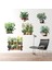 6 Li Sticker Saksılı Çiçek Modelleri (4887) 5