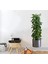 Saksılı Bitki Tasarımlı Yapışkanlı Sticker Resim 90*30 cm (4887) 3