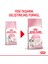2 Kg. Royal Canin Kitten 36 Yavru Kedi Kuru Maması 1