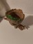 Baby Groot Dekoratif Figür ve Mini Vazo – 3D Koleksiyon ve Ev Dekoru | CRAFTSY3D | Premium Pla Baskı | Masa Üstü Aksesuar ve Hediye 7