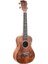 PK103C Concert Ukulele (Taşıma Çantası Hediyeli) 1