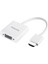 SWR1620A/93 HDMI To VGA Laptop - Pc Monitör Görüntü Converter Çevirici (Projeksiyon Uyumlu) 1