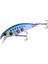 Tetra Works Toto 48HS CCC0475 Sardine Spirit 1
