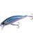 Tetra Works Toto 48HS CCC0475 Sardine Spirit 3