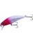 Tetra Works Toto 48HS CCC0475 Sardine Spirit 5
