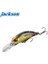 Tetra Works Toto Shad 48S CPA0608 Gold Rainbow 2