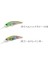Tetra Works Toto Shad 48S CPA0608 Gold Rainbow 5
