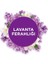 Banyo Lavanta Ferahlığı Hava Tazeleyici 10 ml &amp; Otomatik Sprey Cihazı 2