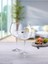 Enoteca Şarap Kadehi - 6'lı - 780CC 2
