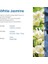 White Jasmine 50 ml Micro Koku Kartuşu 2