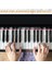 Müzik Teorisi Poster Seti, Piyano Klavyesi ve Nota Sistemi Kılavuzu ve Piyano Klavyesi Notaları Için Renkli Etiketler (Labels And Theory Poster) 5